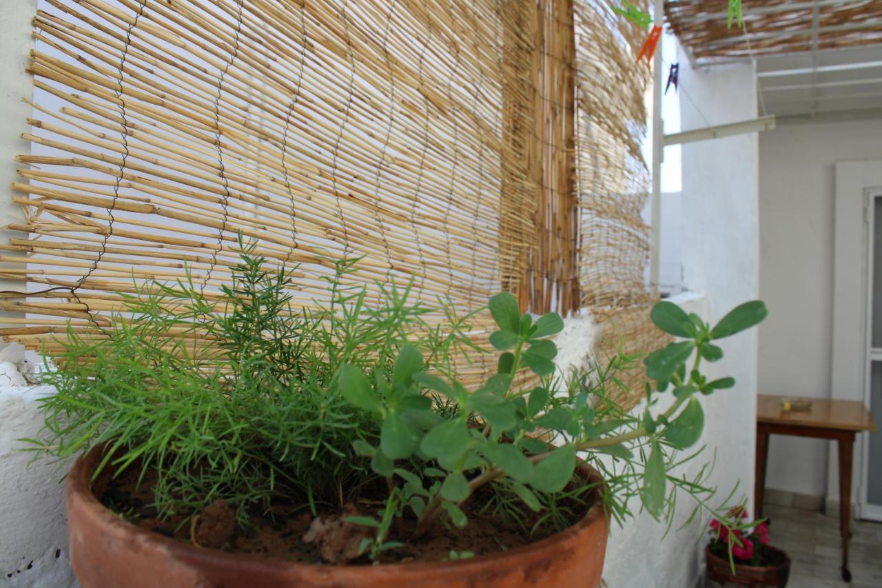 Villa mantra1 Sozopoli Exterior foto